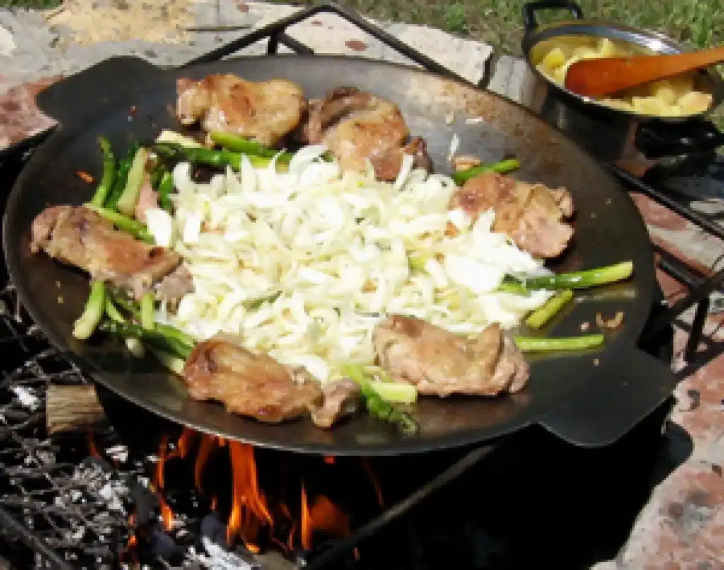 Pork slices with onion and asparagus on the disc